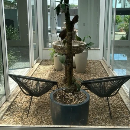 Jogo de Área Caribe 4 Cadeiras (2835-4) - Imagem 7